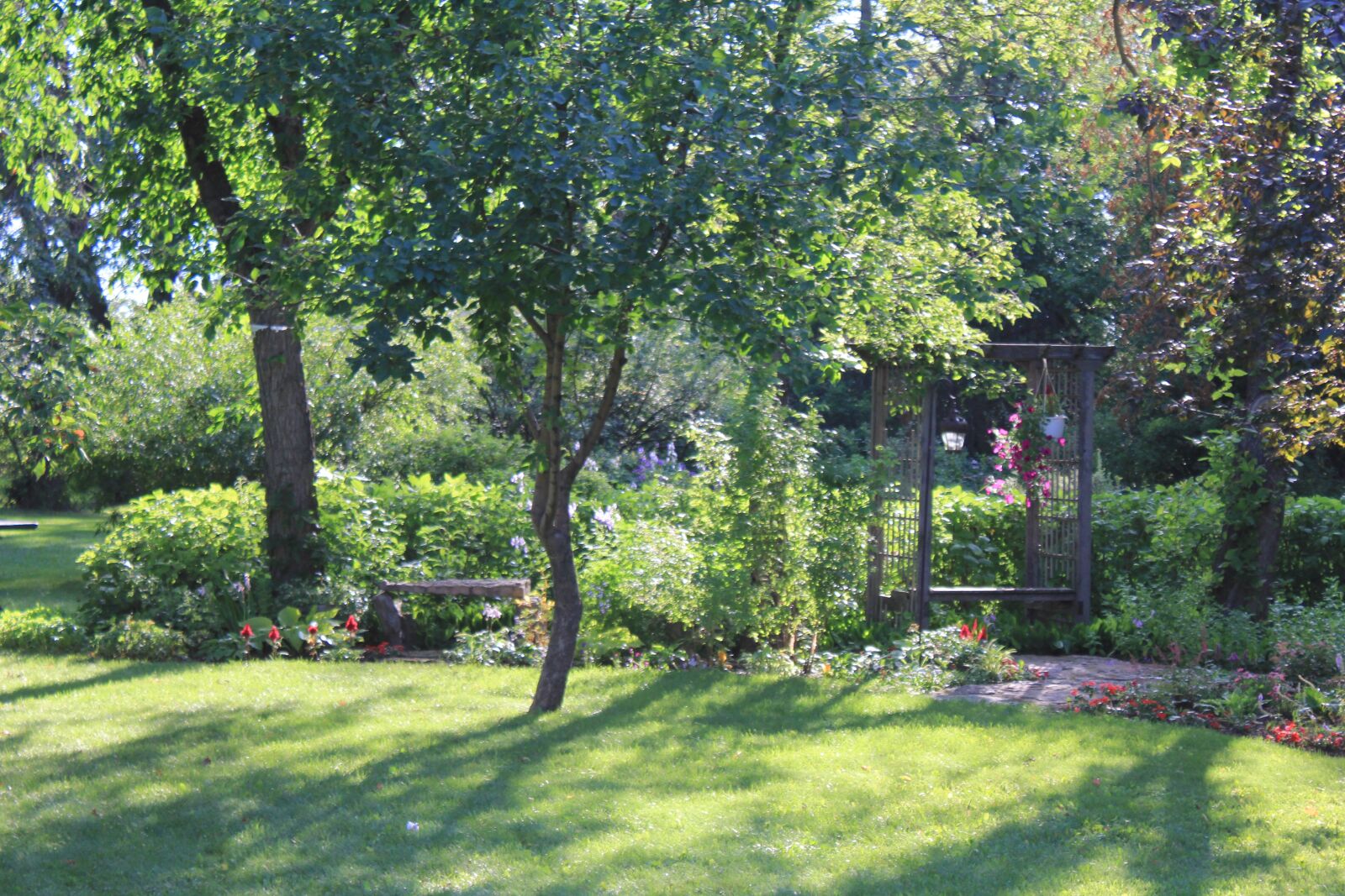 Canon EOS 550D (EOS Rebel T2i / EOS Kiss X4) sample photo. Garden, farm, greenery photography