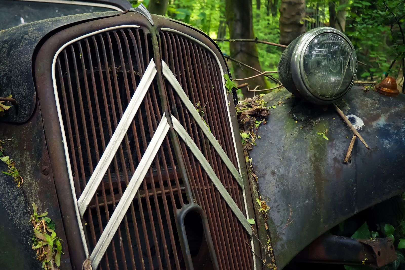 Olympus OM-D E-M10 sample photo. Auto, car cemetery, oldtimer photography