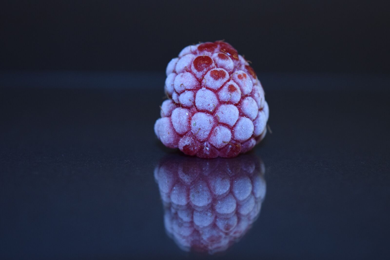 Nikon D3300 sample photo. Raspberry, frozen, frosted photography