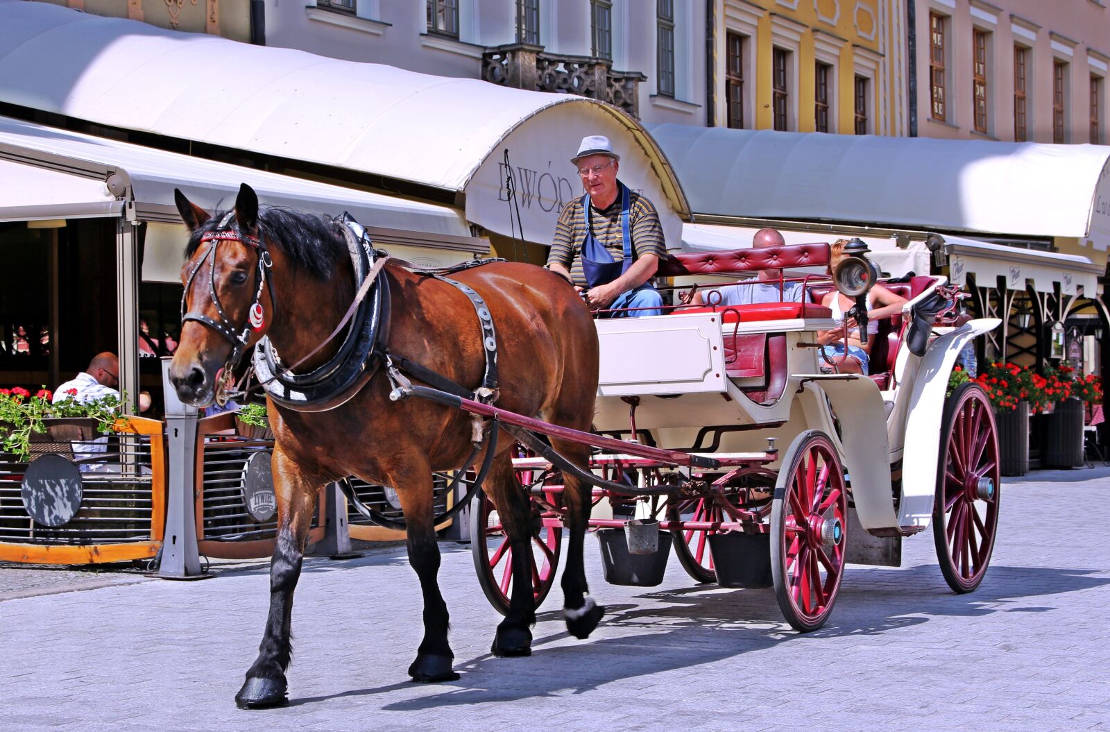 Canon EOS 700D (EOS Rebel T5i / EOS Kiss X7i) sample photo. Carriage, horse, tourists photography