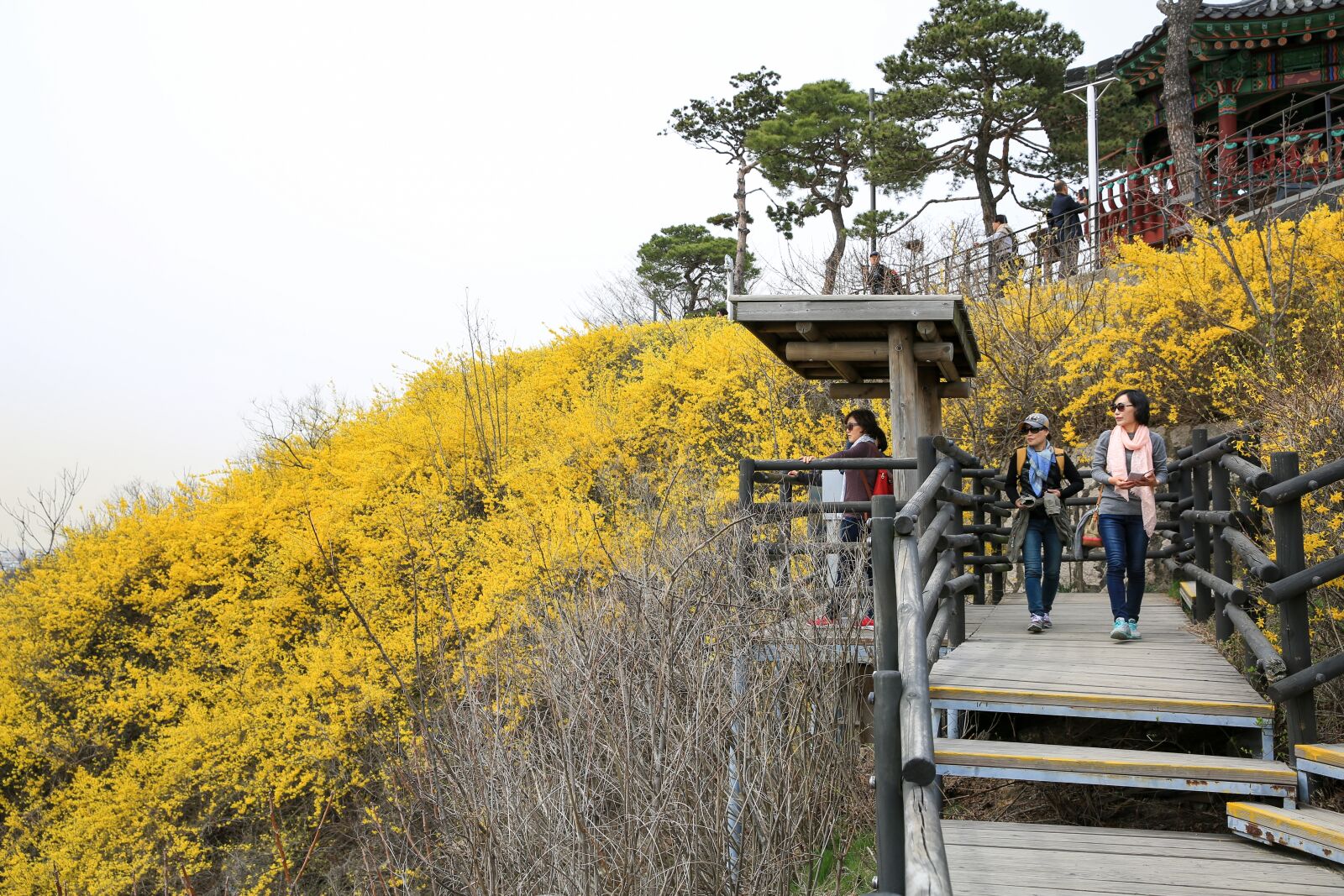 Canon EOS 5D Mark III sample photo - 6gg0d7pIYj - ExploreCams