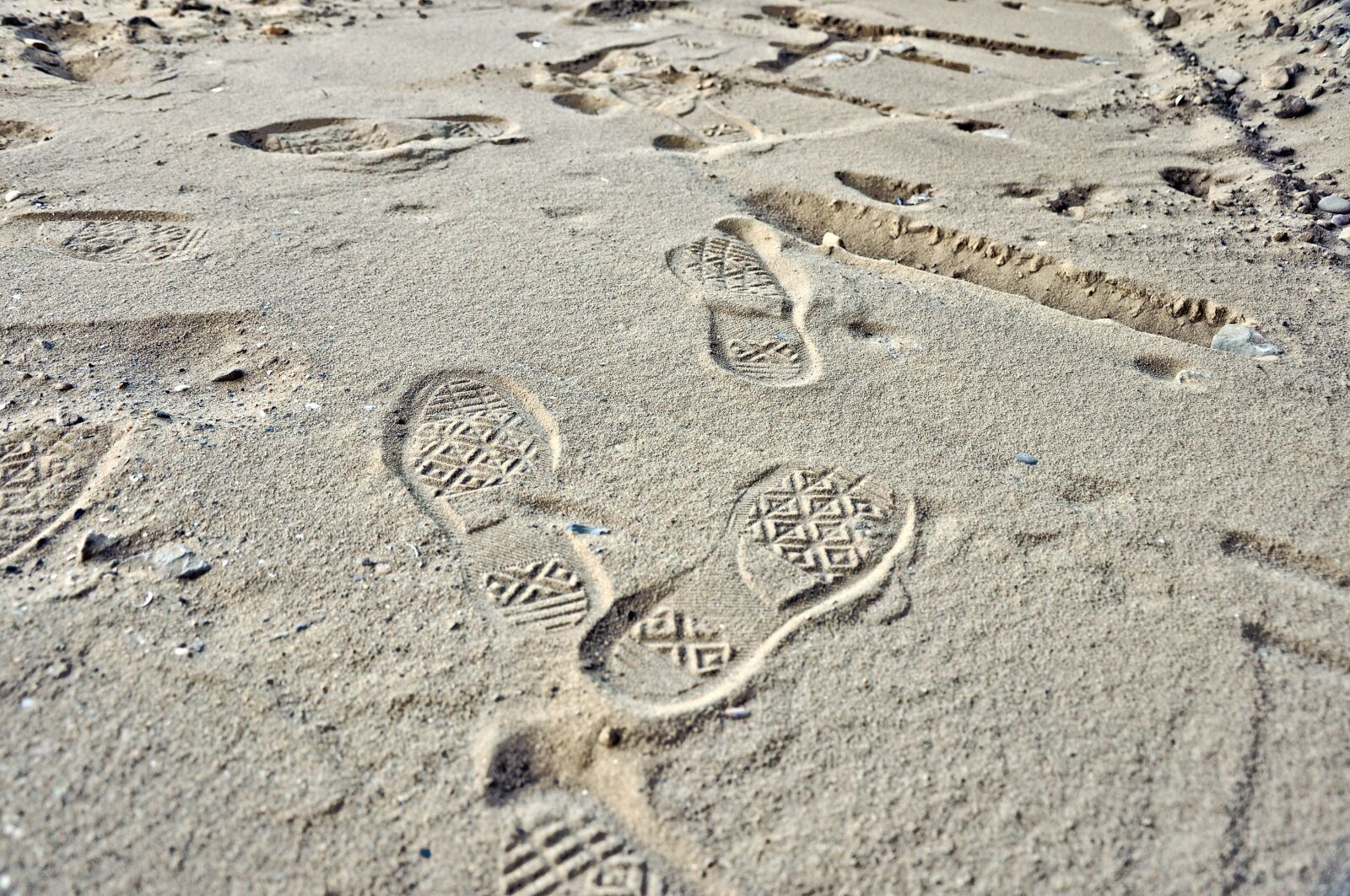 Nikon D90 sample photo. Footprint, print, step photography