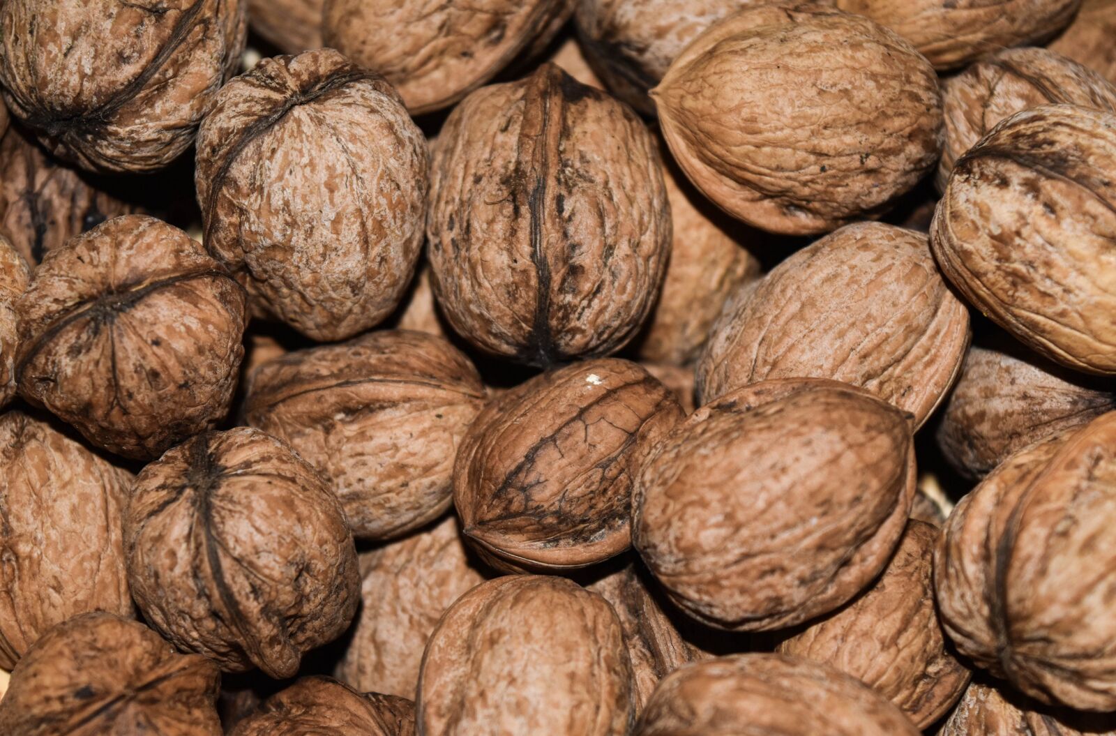 Nikon D5500 sample photo. Walnut, walnuts, food photography
