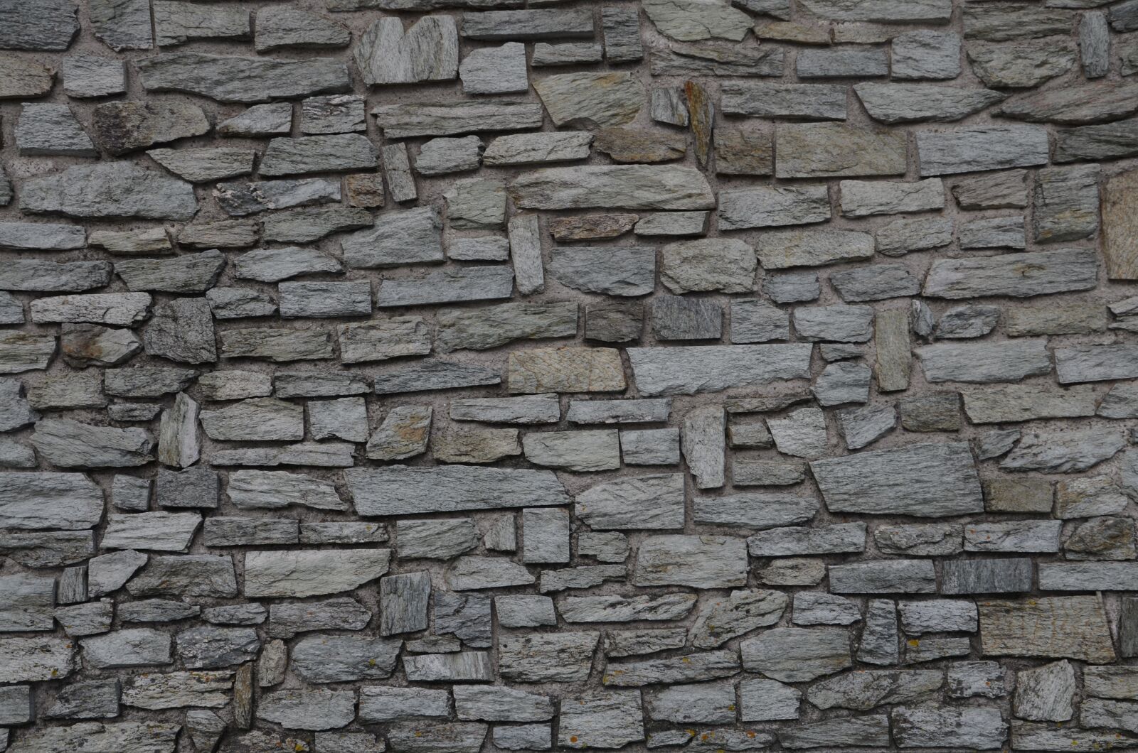 Nikon D5100 sample photo. Canvas, photography, aesthetics photography