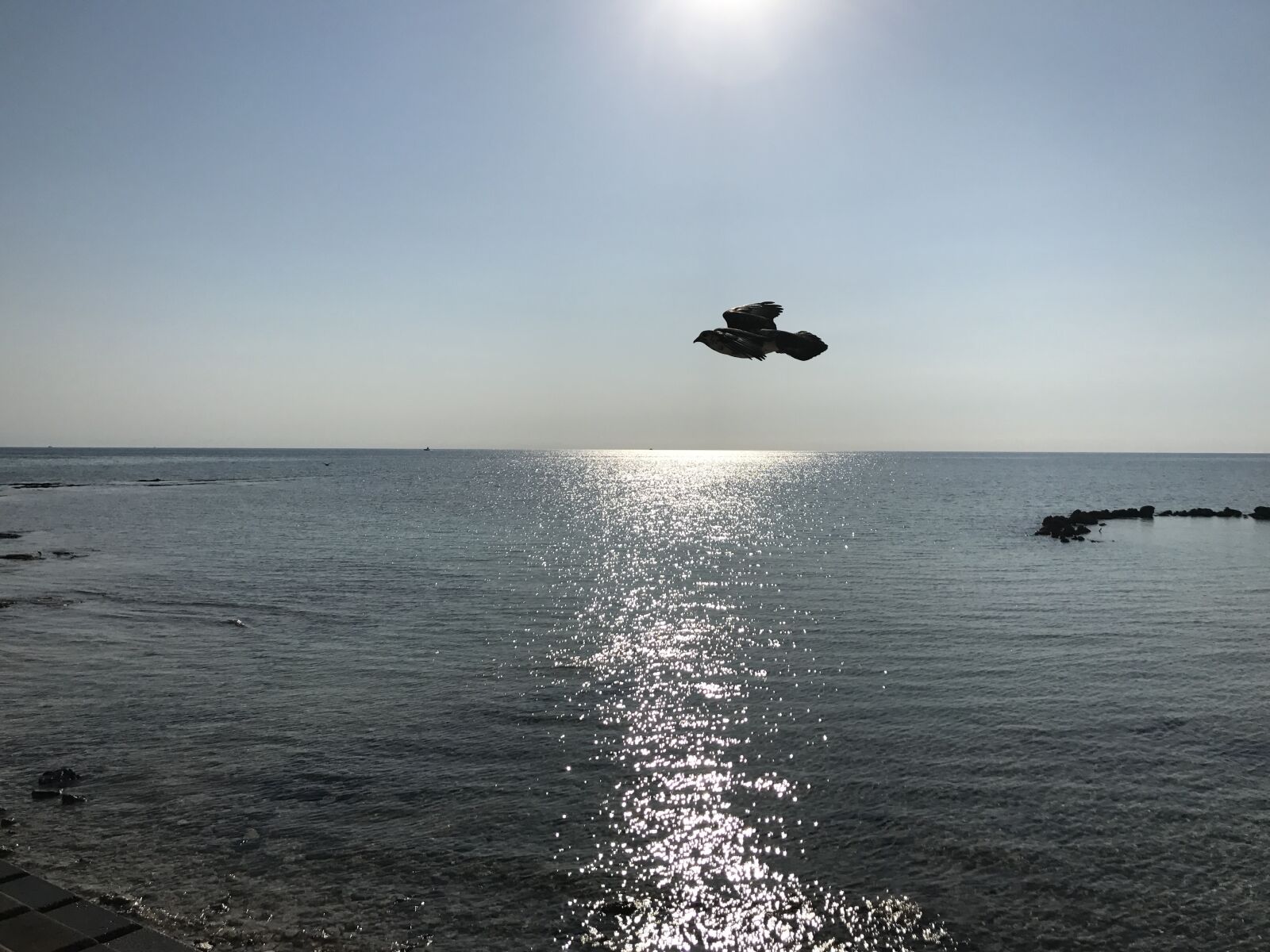 Apple iPhone 7 sample photo. Beach, nassau, bahamas photography
