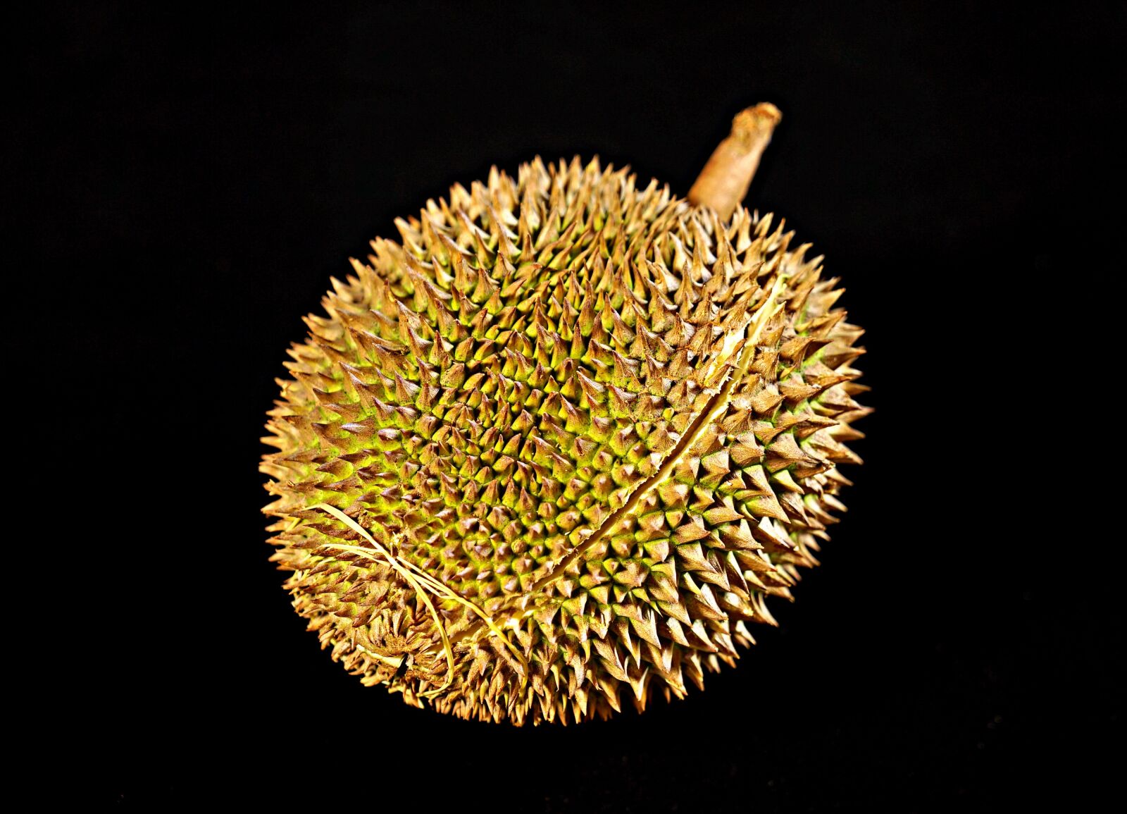 Sony a7S + Sony FE 24-70mm F2.8 GM sample photo. Durian fruit, king of photography