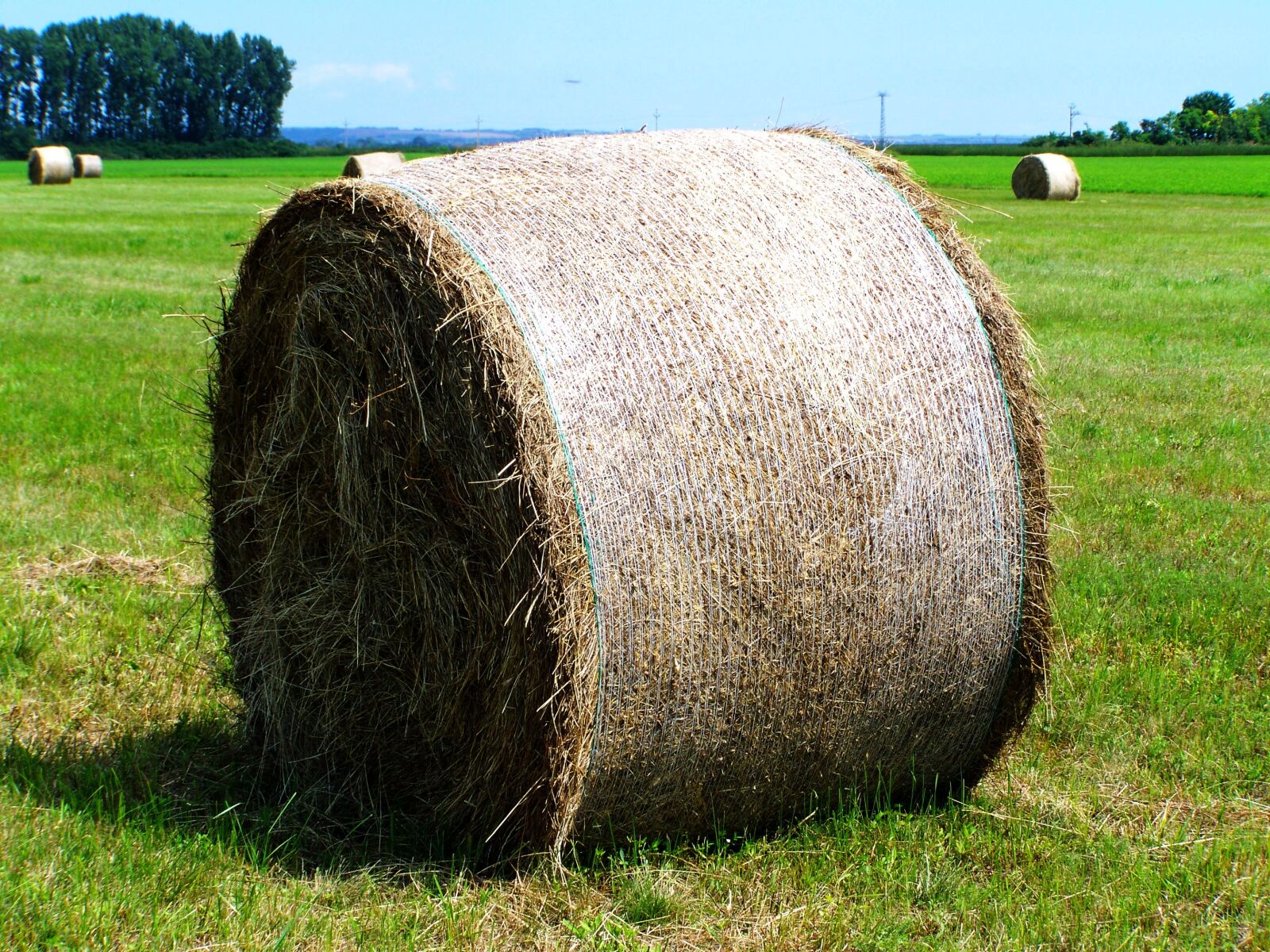 Kodak EASYSHARE ZD710 ZOOM DIGITAL CAMERA sample photo. Hay bale, forage, mown photography