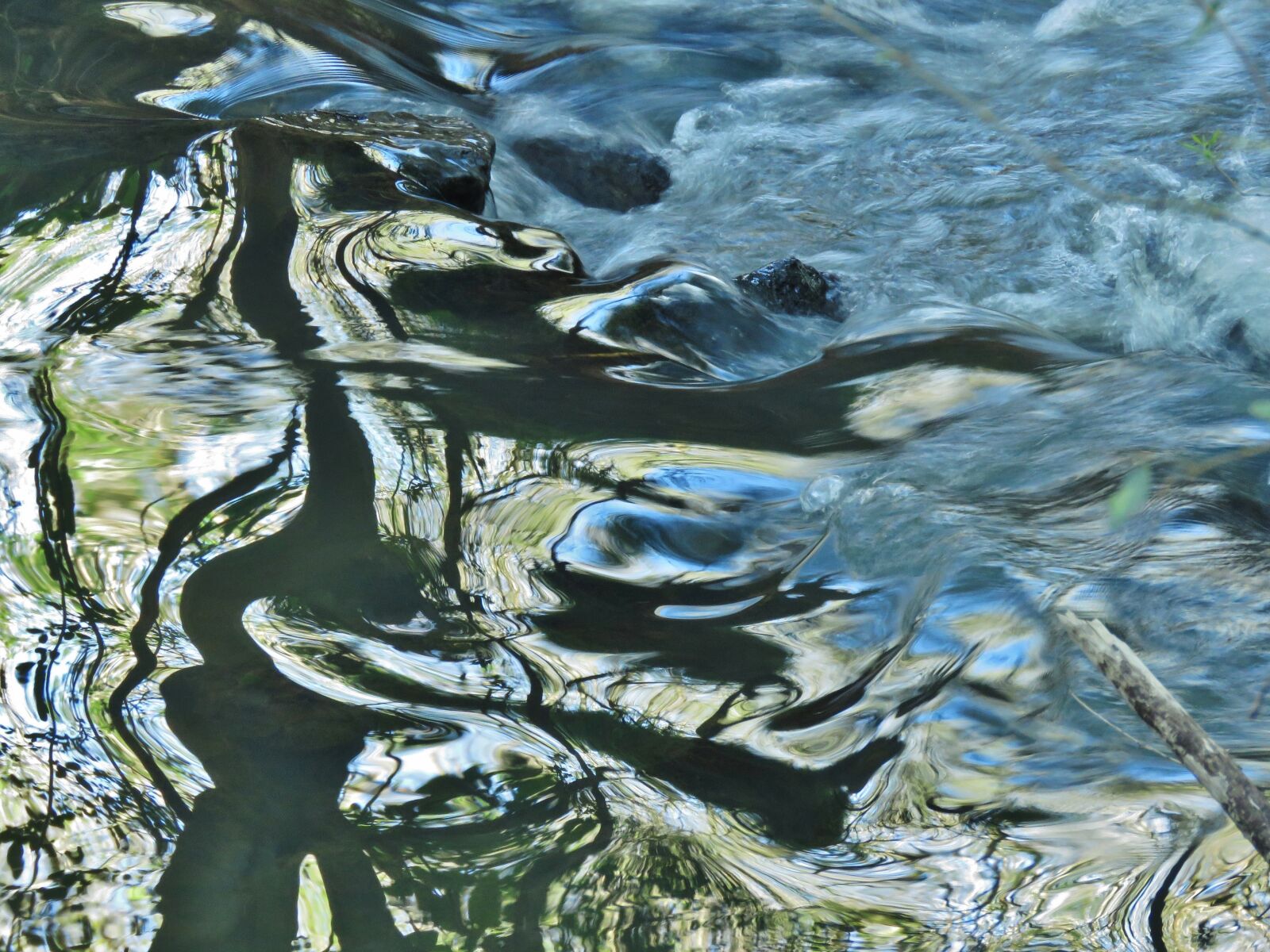 Canon PowerShot SX60 HS sample photo. Water, horse, river photography