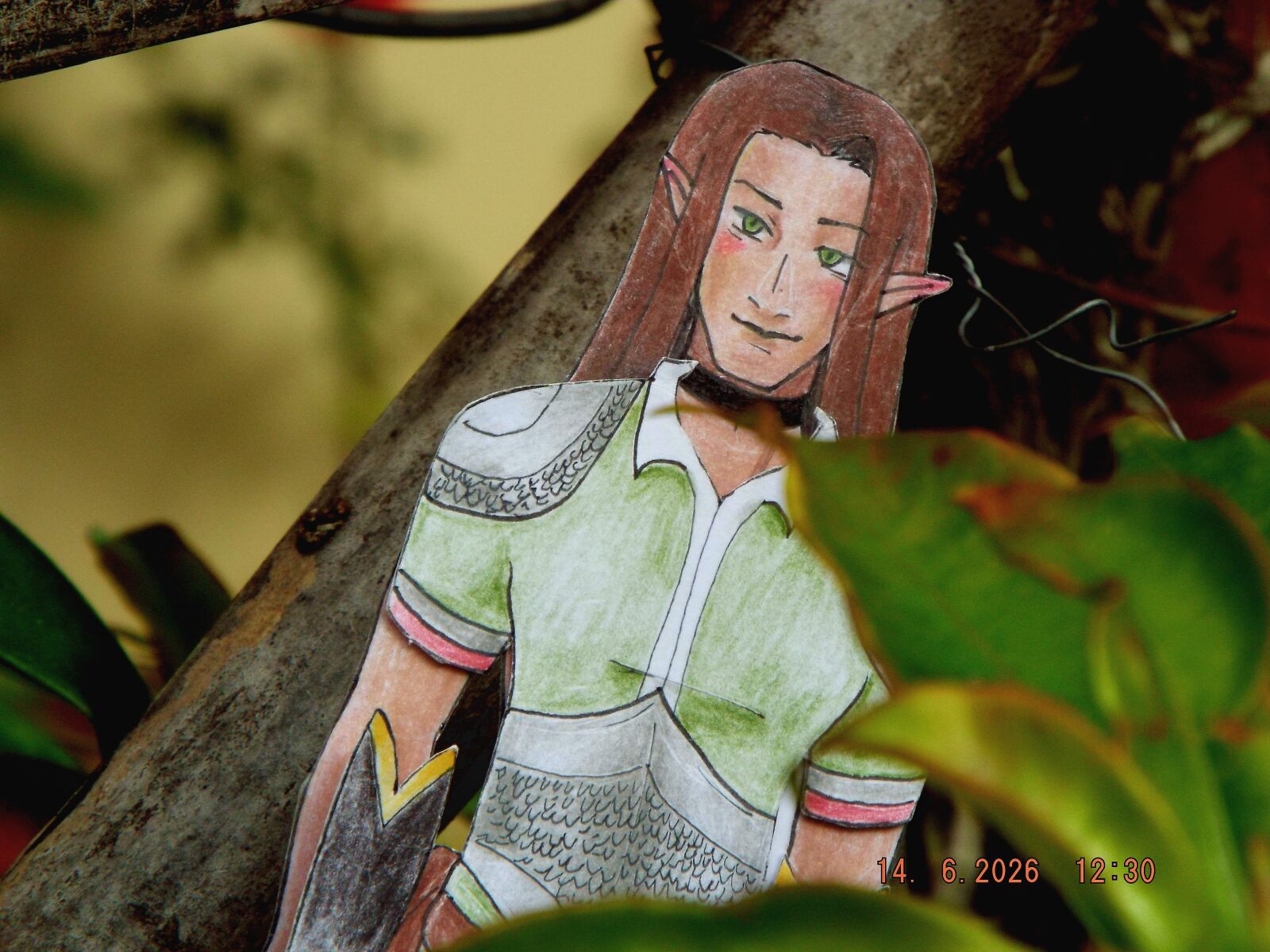 Fujifilm FinePix S8200 sample photo