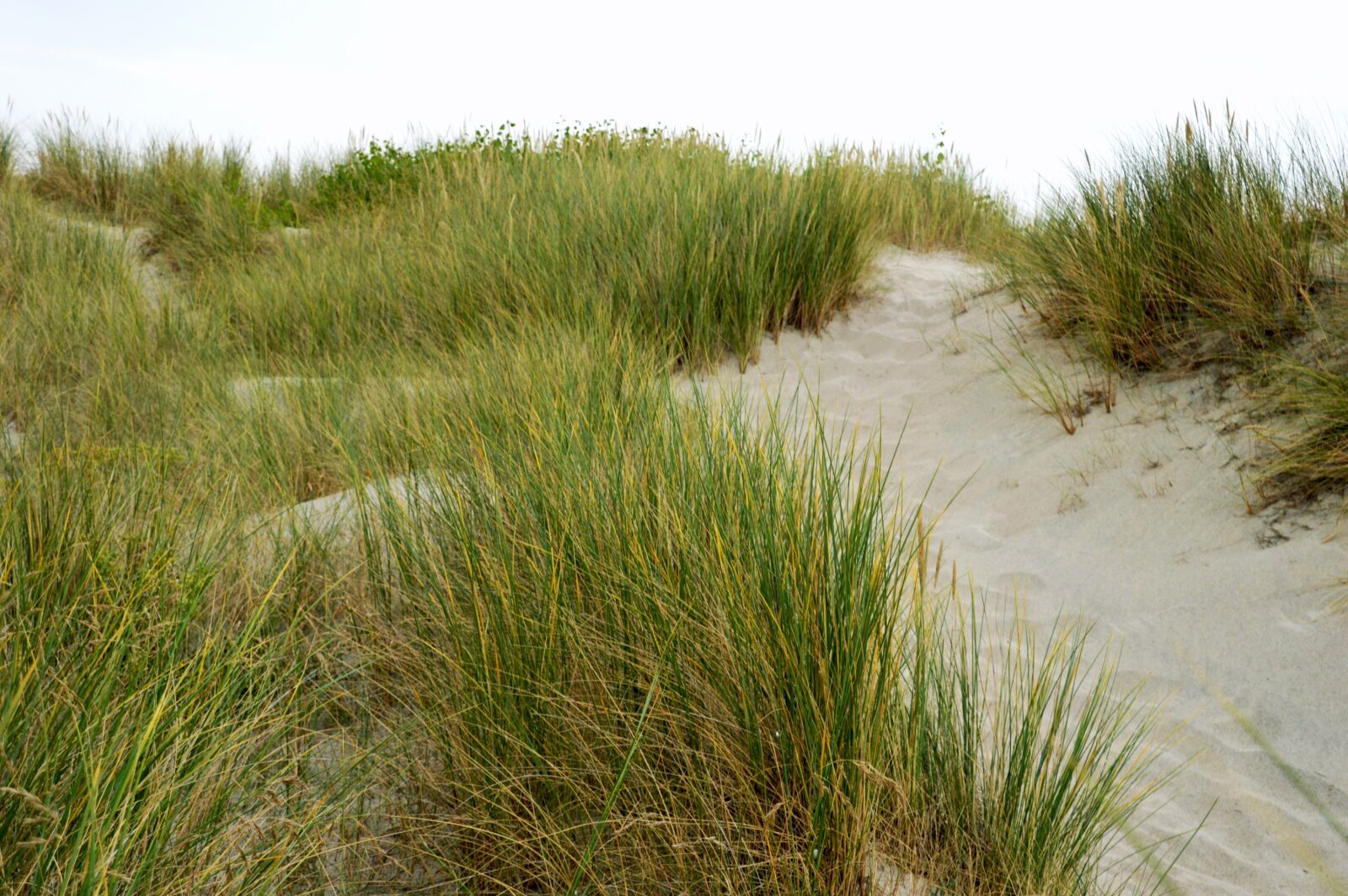 Nikon D3200 sample photo. Sea, beach, stella beach photography