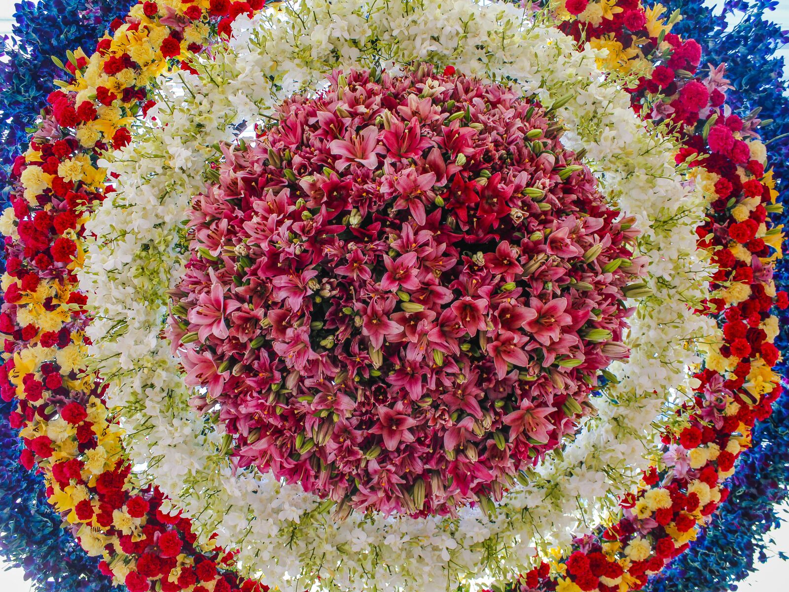 Canon EOS 600D (Rebel EOS T3i / EOS Kiss X5) sample photo. Flower, round, circle photography