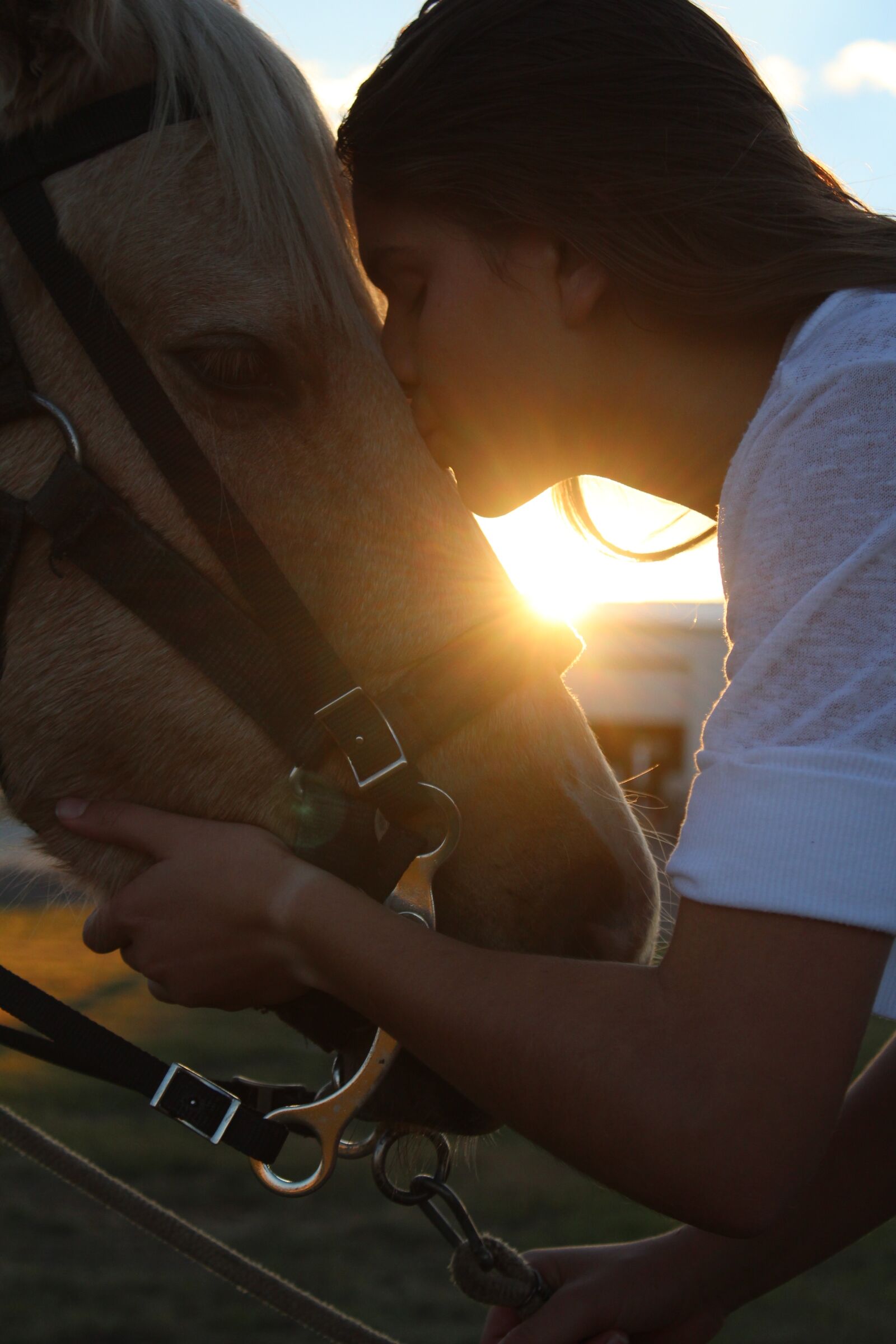 Canon EOS 1200D (EOS Rebel T5 / EOS Kiss X70 / EOS Hi) sample photo. Horse, girl, love photography