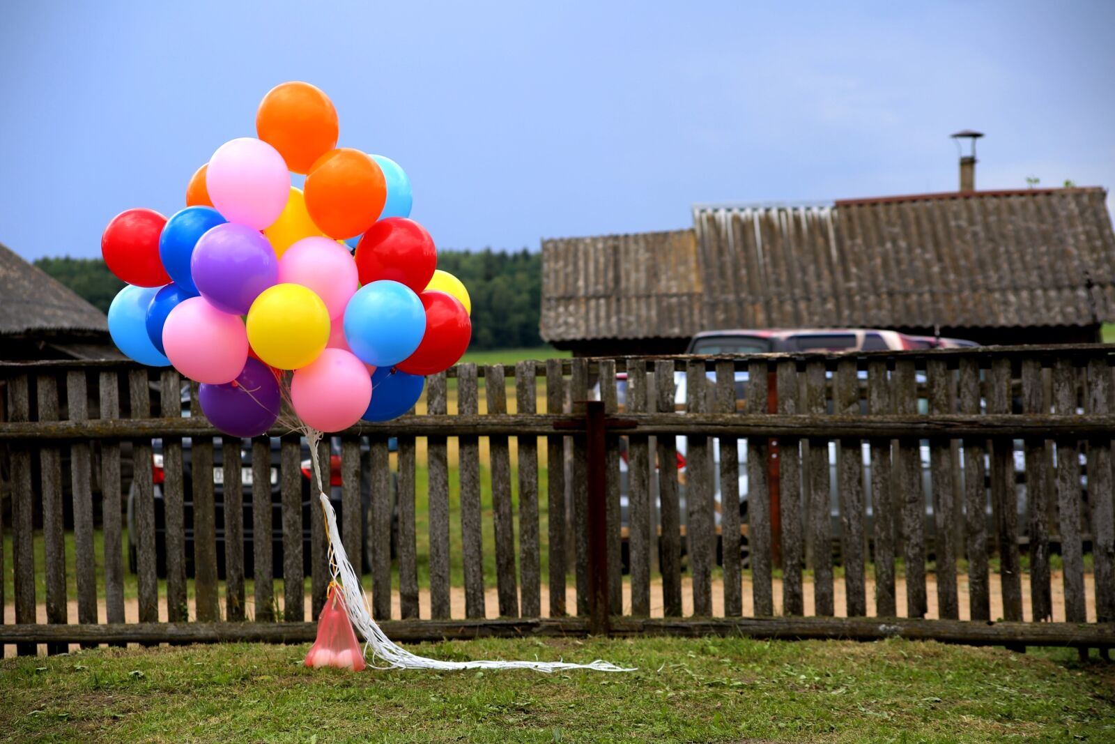 Canon EOS 6D sample photo. Holiday, colored balls, day photography