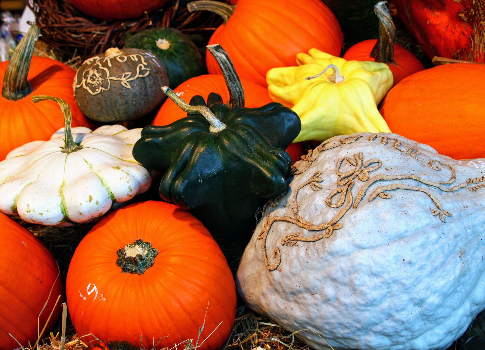 Canon EOS 2000D (EOS Rebel T7 / EOS Kiss X90 / EOS 1500D) sample photo. Still life, pumpkin, autumn photography