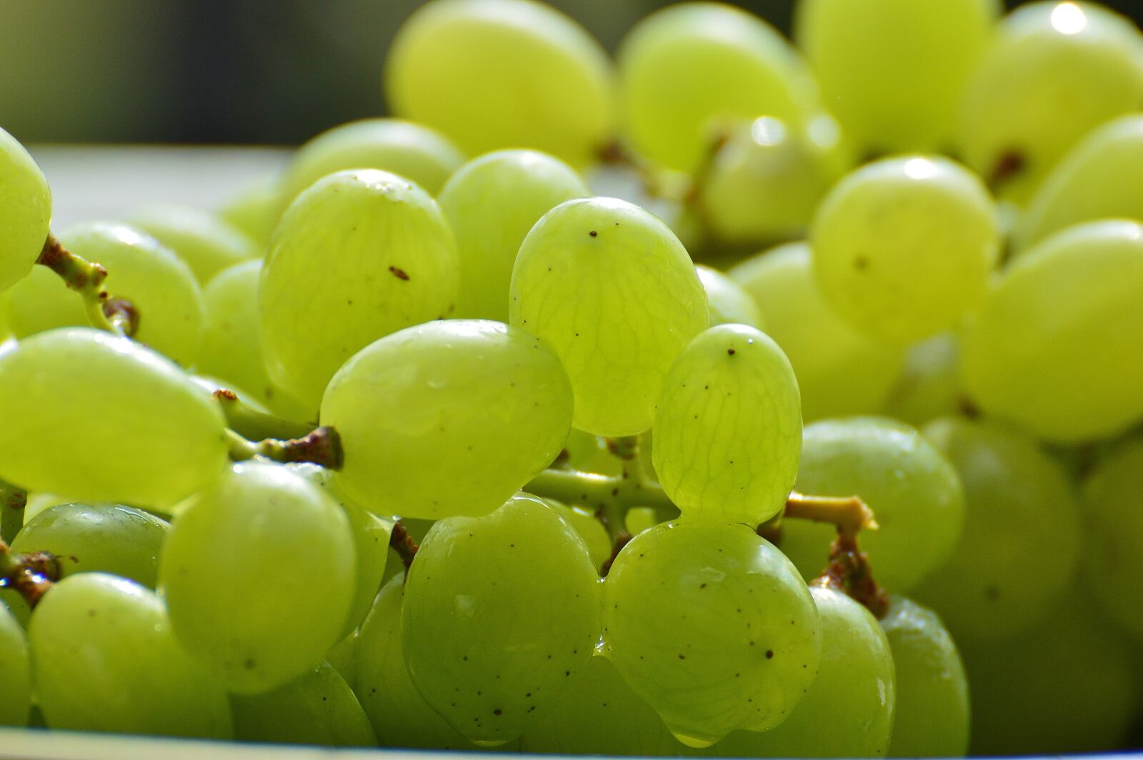 Nikon D3200 sample photo. Grapes, fruits, healthy photography