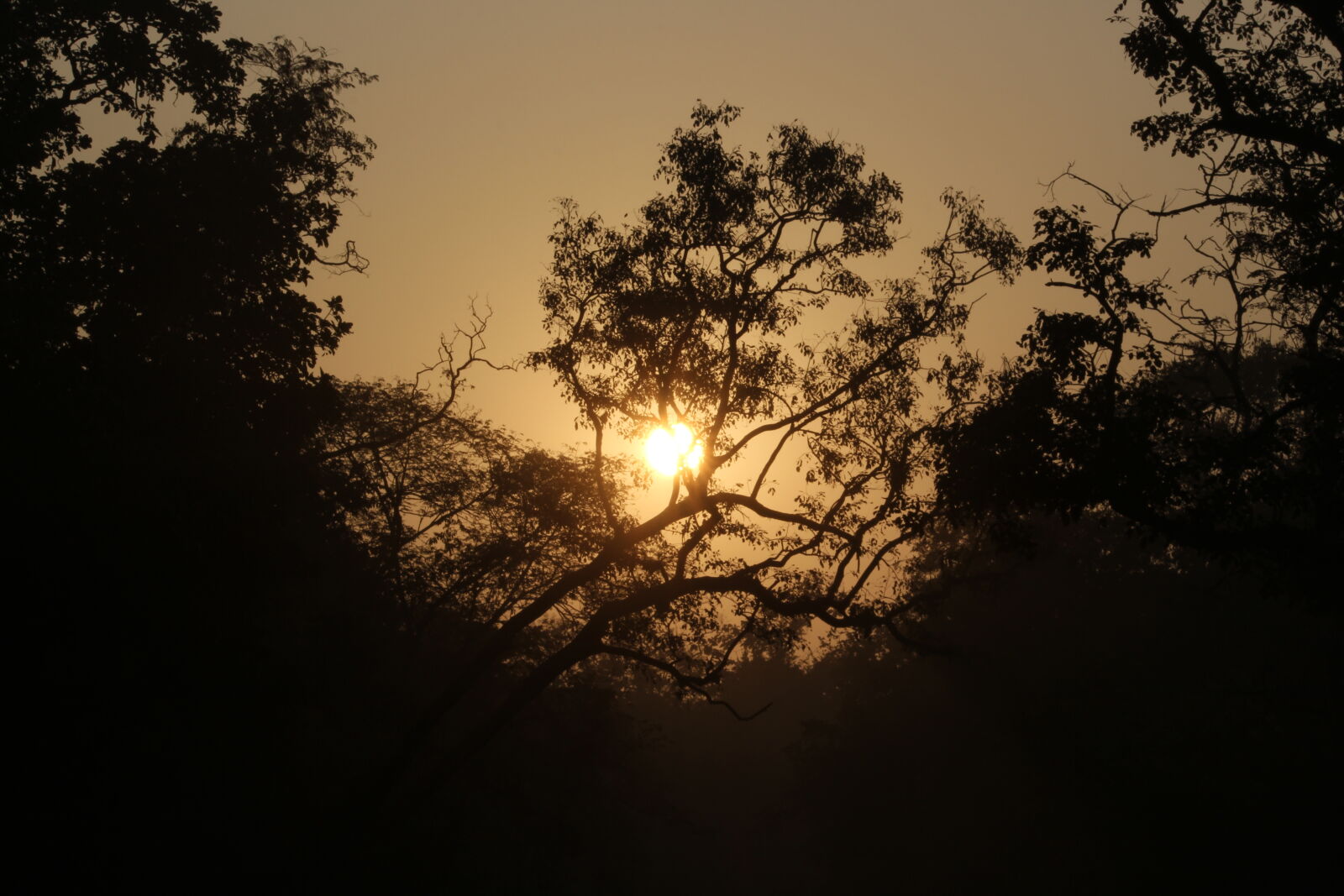 Canon EOS 700D (EOS Rebel T5i / EOS Kiss X7i) sample photo