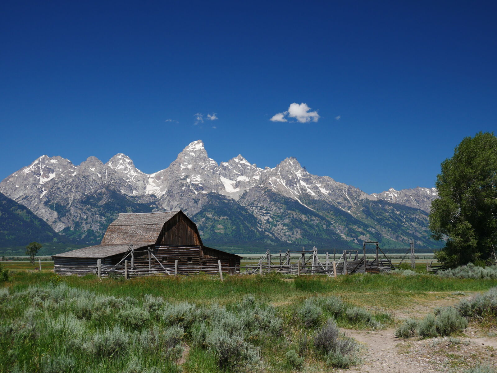 Panasonic Lumix DMC-GX85 (Lumix DMC-GX80 / Lumix DMC-GX7 Mark II) sample photo. Mormon row photography