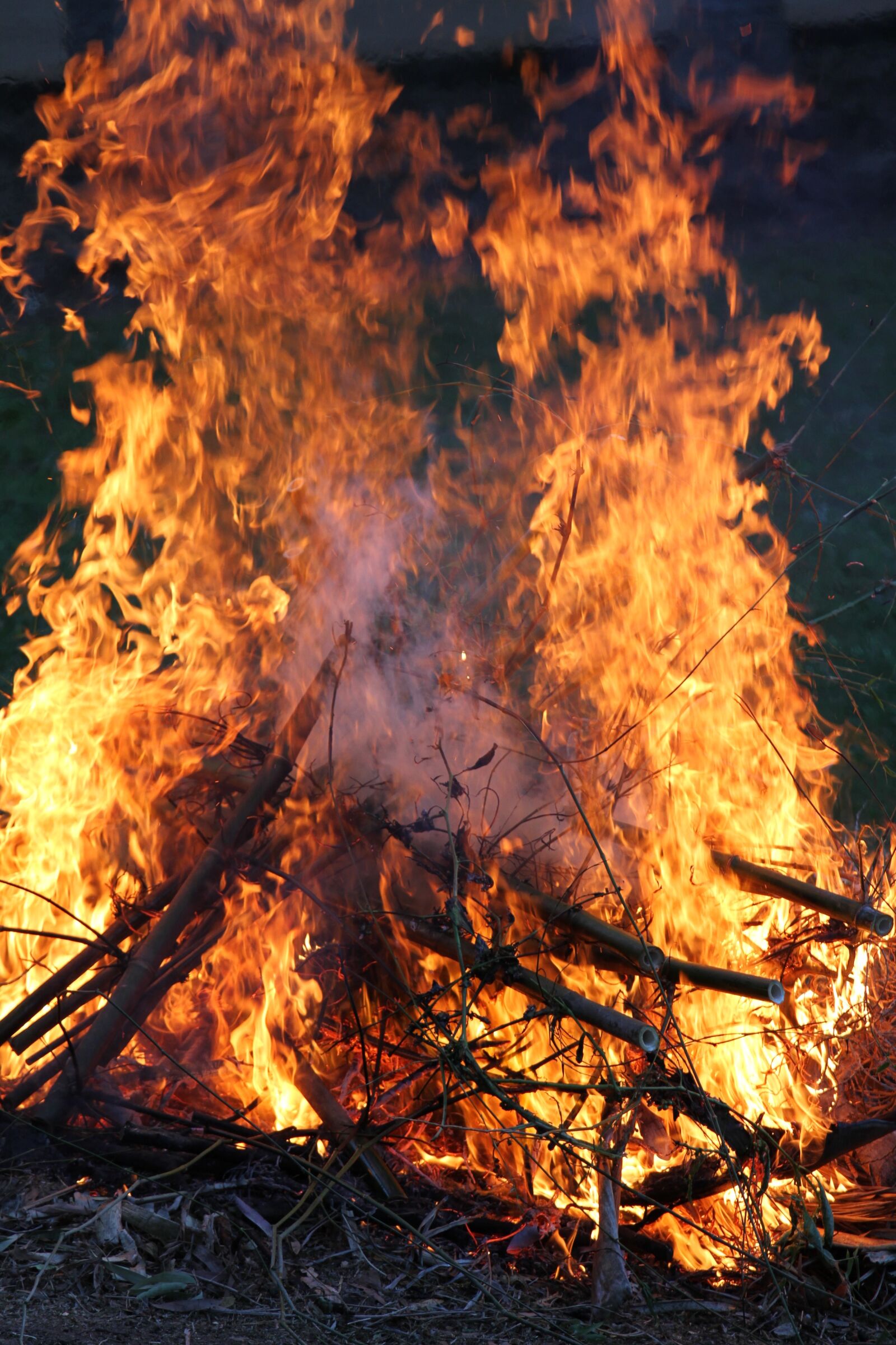 Canon EOS 7D + Canon EF 70-200mm F4L IS USM sample photo. Fire, bonfire, flames photography