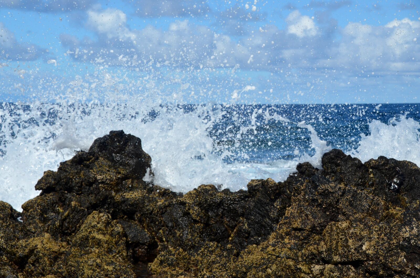 Nikon D5100 sample photo. Sea, atlantic, coast photography
