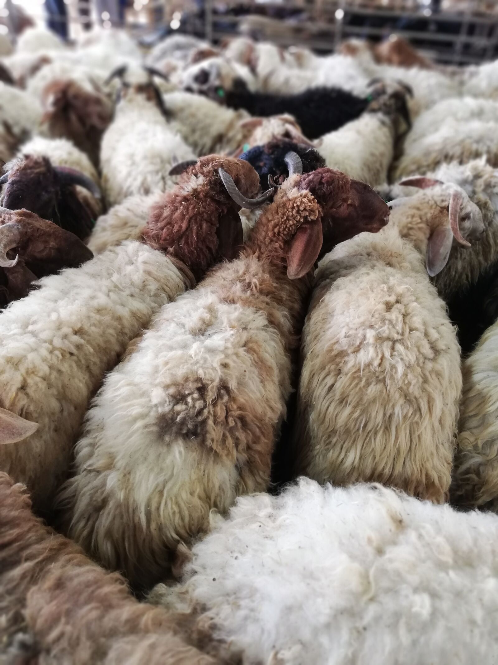 HUAWEI P20 lite sample photo. Eid, eid mubarak, islamic photography