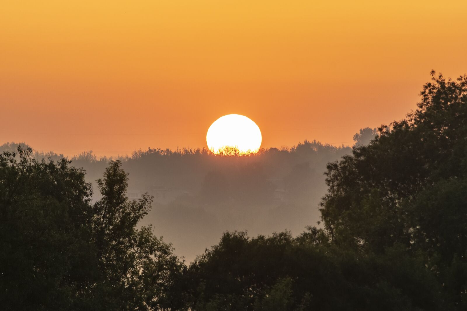 Nikon D3300 sample photo. Landscape, nature, fog photography