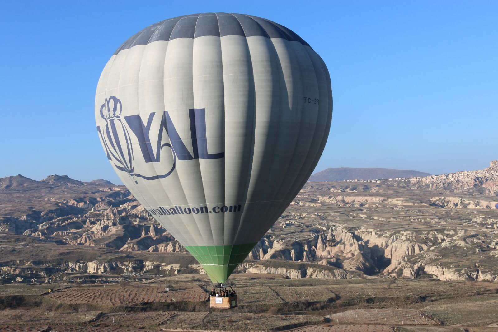 Canon EOS 70D sample photo. Air balloon, air, balloon photography
