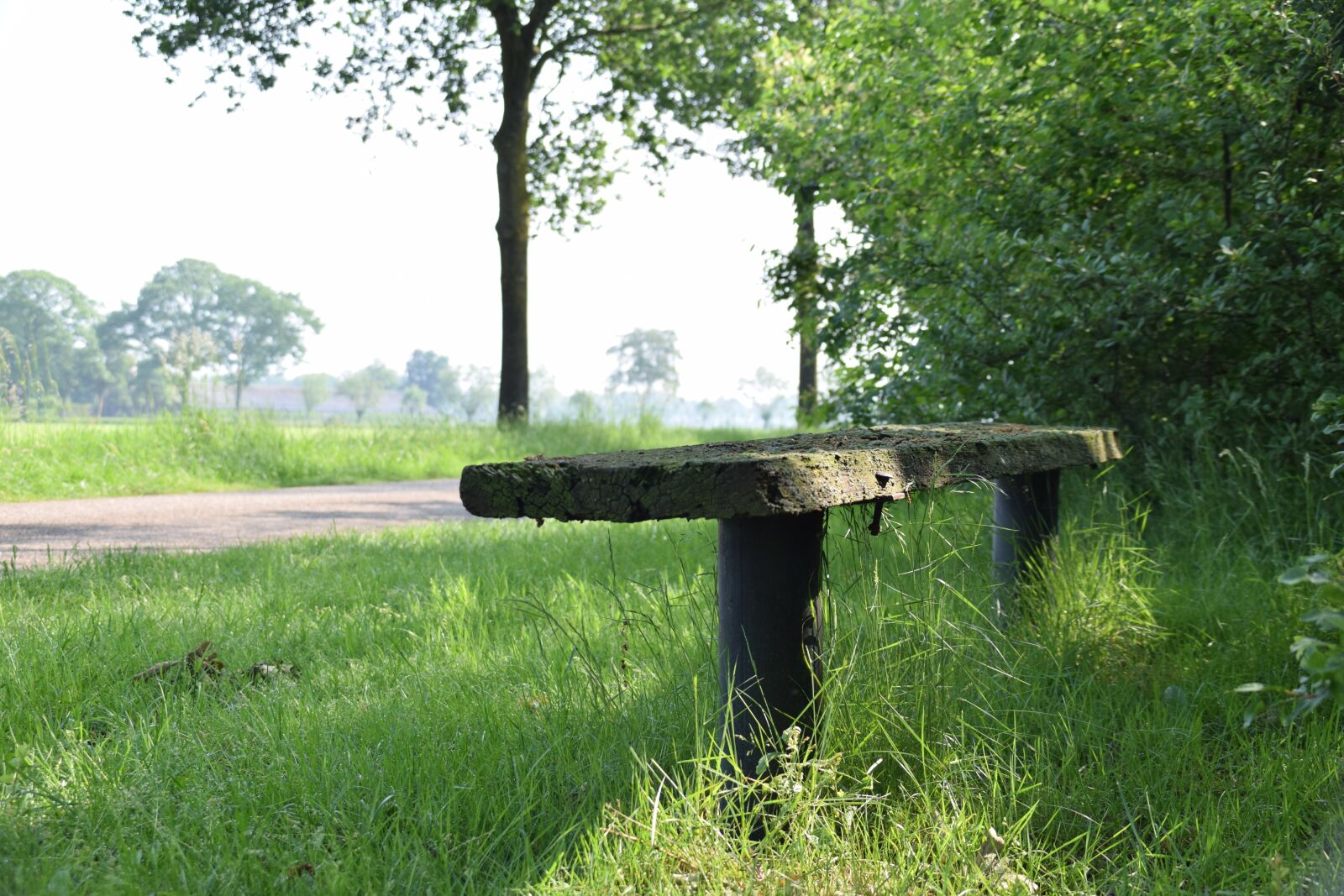 Nikon D3300 sample photo. Rest, bank, wood bench photography