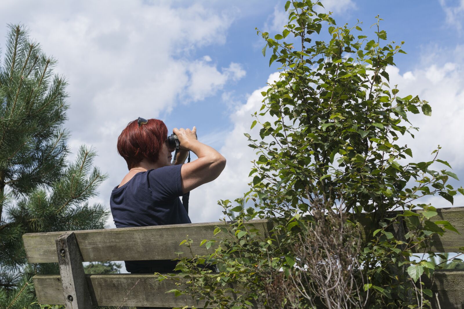 Nikon D5200 sample photo. Watch, study, nature photography