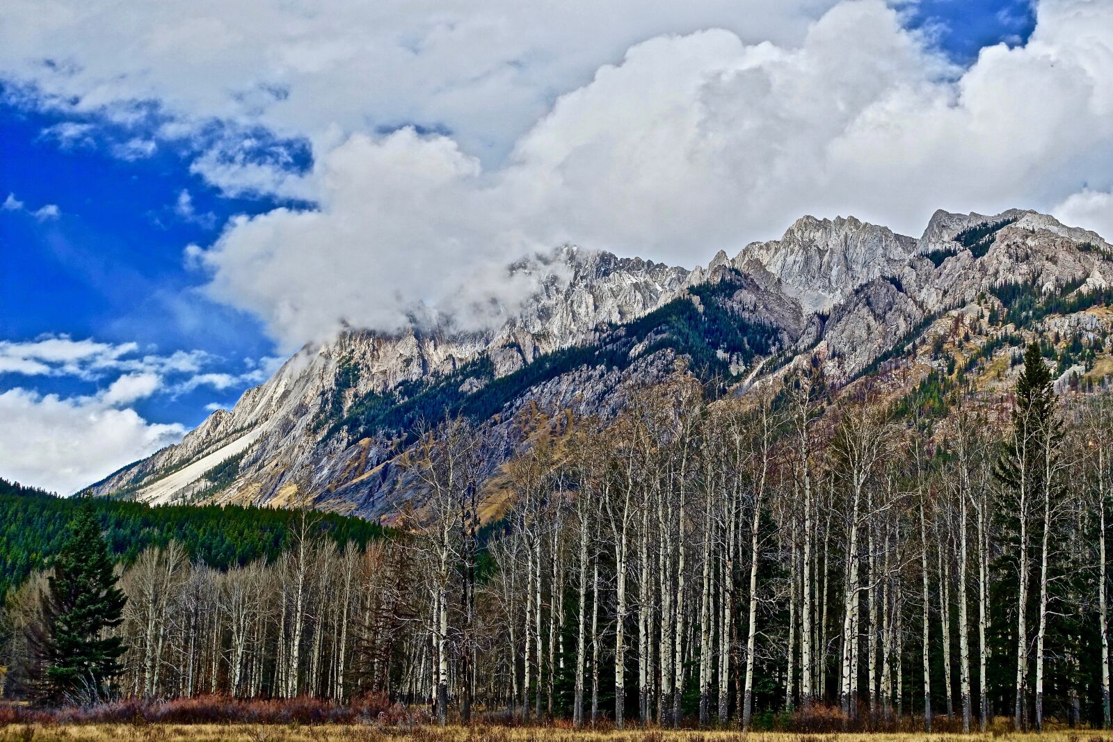 Sony Cyber-shot DSC-RX100 III sample photo. Trees, mountains, forest photography