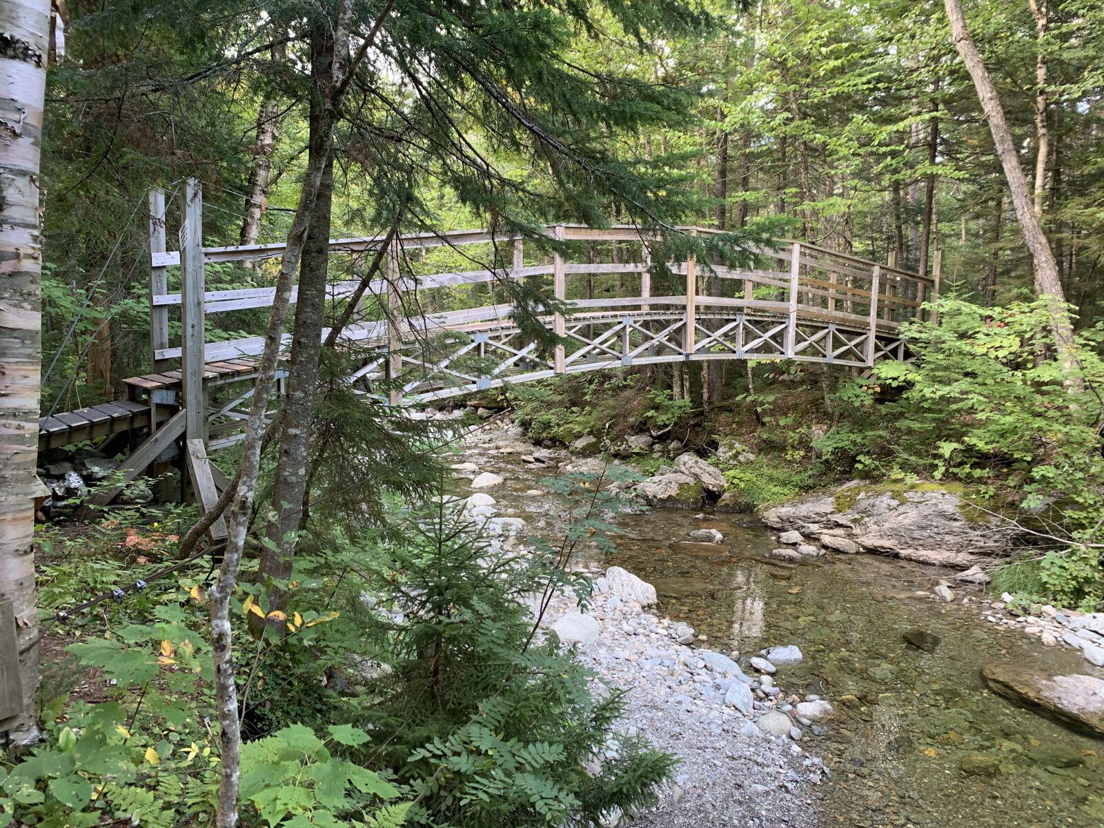iPhone XR back camera 4.25mm f/1.8 sample photo. River, bridge, forest photography