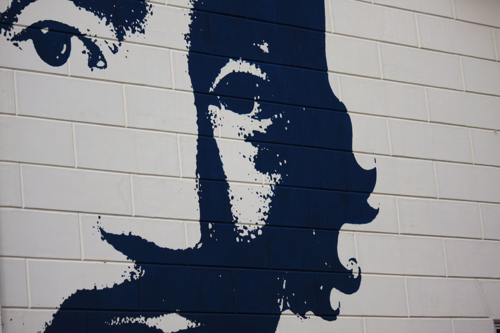 Canon EOS 40D sample photo. Wall, painting, art photography
