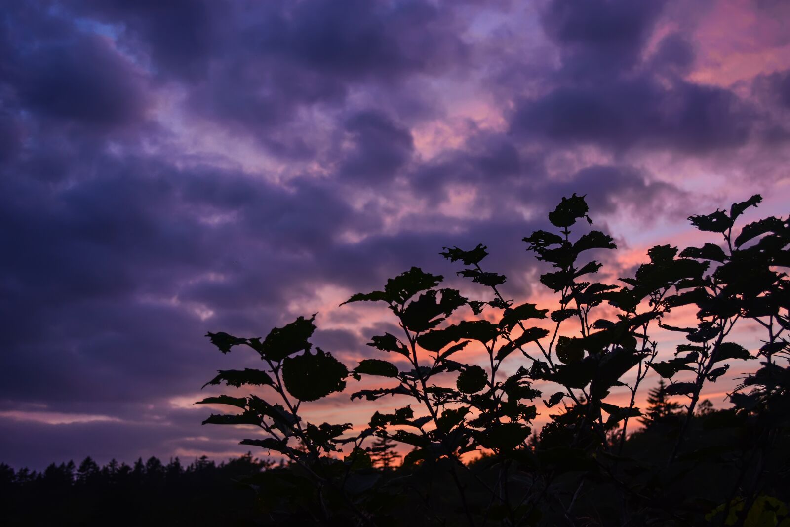 Nikon D5200 sample photo. Landscape, sunset, sky photography