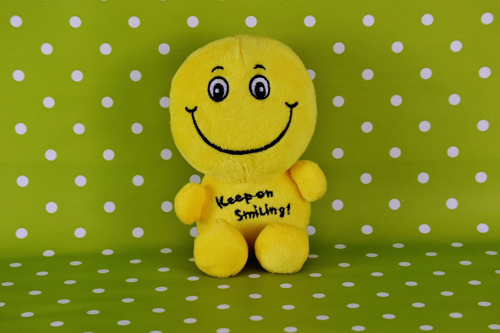 Nikon D7200 sample photo. Smiley, funny, emoticon photography