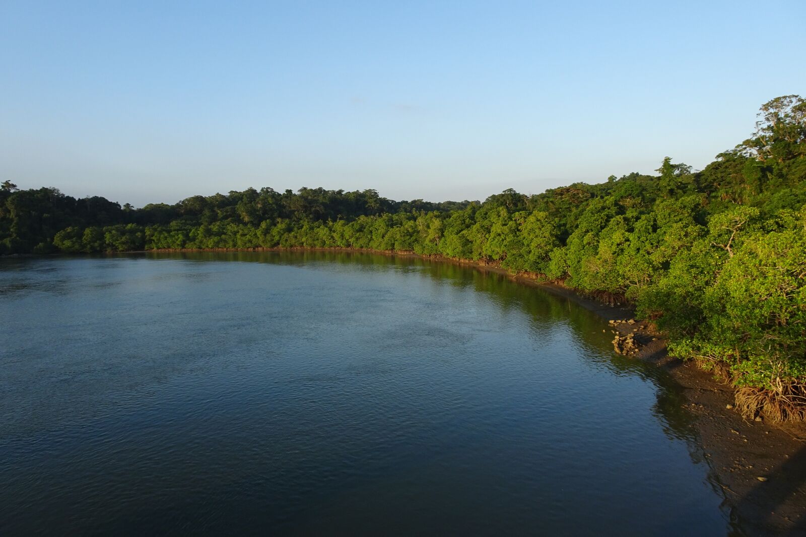 Sony Cyber-shot DSC-HX90V sample photo. Austen strait, andaman, flora photography
