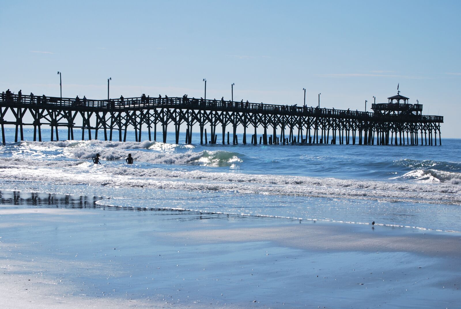 Nikon D60 sample photo. Pier, ocean, wood photography