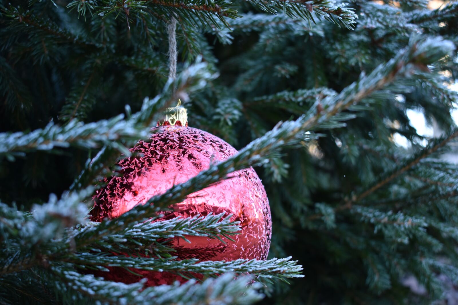Nikon D3400 sample photo. Christmas, xmas, bauble photography