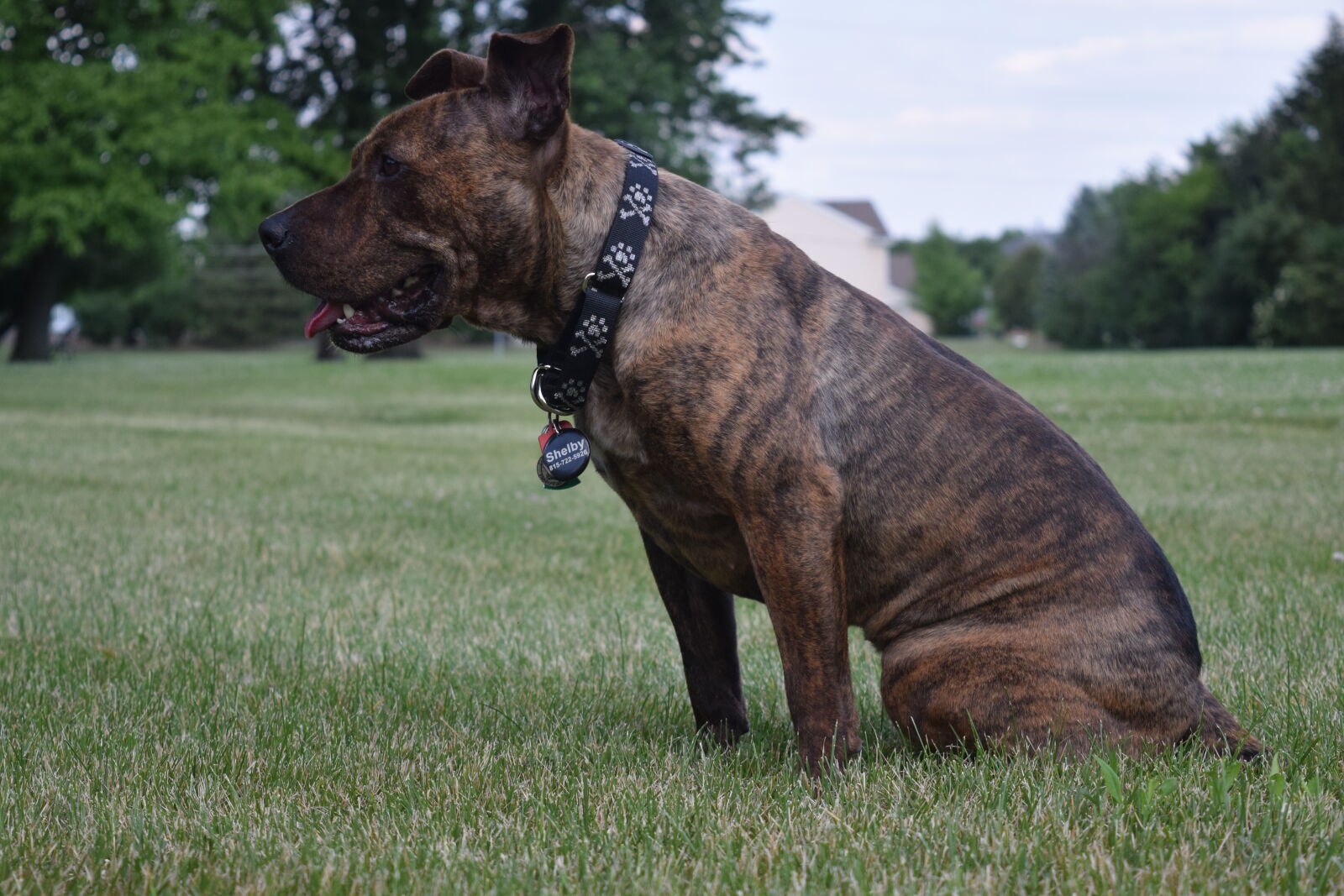 Nikon D3300 sample photo