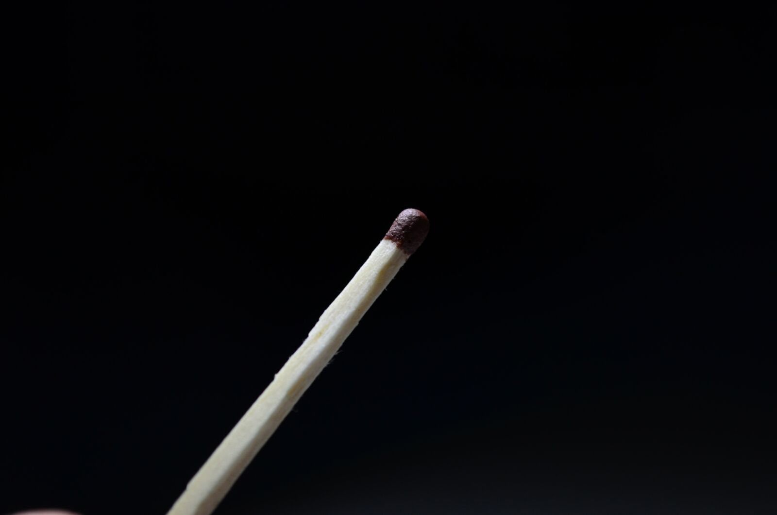 Nikon D5100 sample photo. Match, focus, background photography