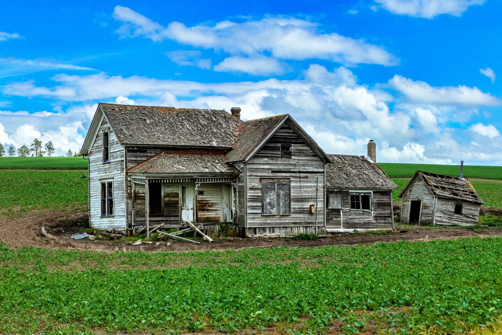 Panasonic Lumix DMC-FZ1000 sample photo. Homestead, house, farm photography