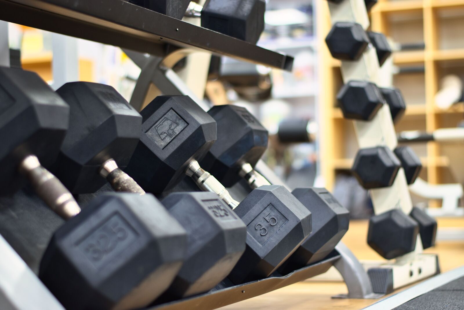 Nikon D5500 sample photo. Fitness, gym, training photography