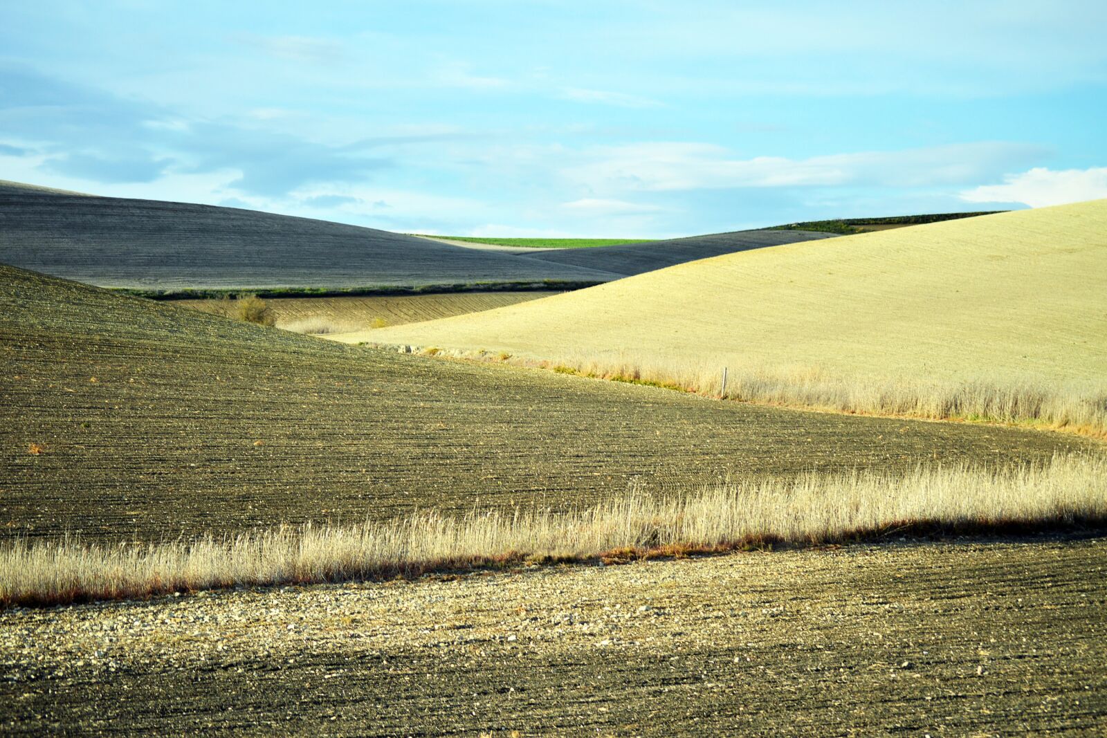Nikon D3200 sample photo. Plowed, fields, agriculture photography