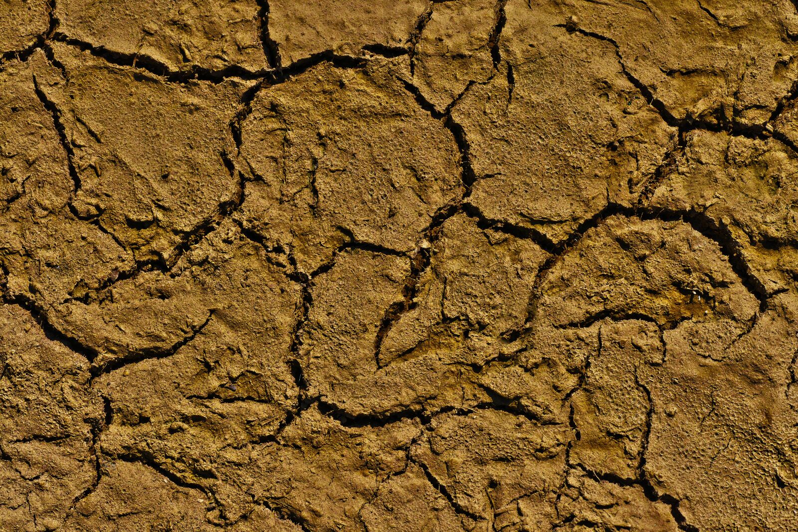 Panasonic Lumix DMC-FZ1000 sample photo. Dry, ground, cracks photography