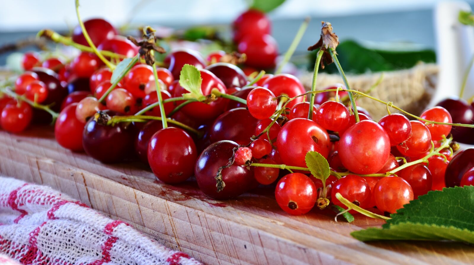 Nikon D7200 sample photo. Sour cherries, cherries, currants photography