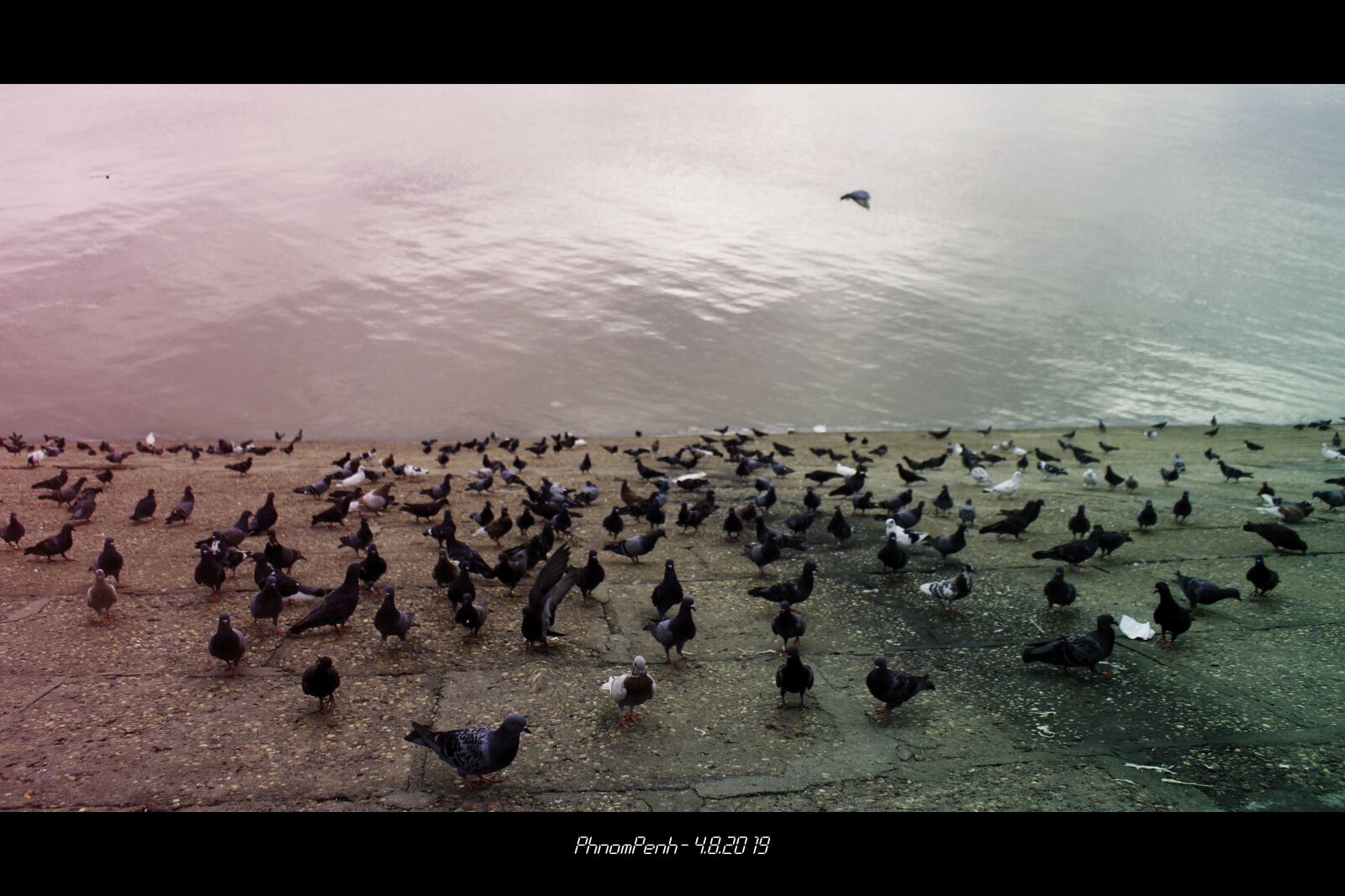 Canon EOS 700D (EOS Rebel T5i / EOS Kiss X7i) sample photo. Cambodia, bocau, bird photography