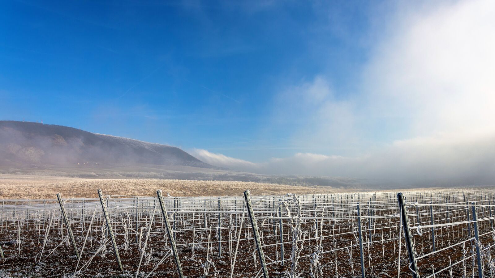 Nikon D7200 sample photo. Winter, sunshine, fog photography