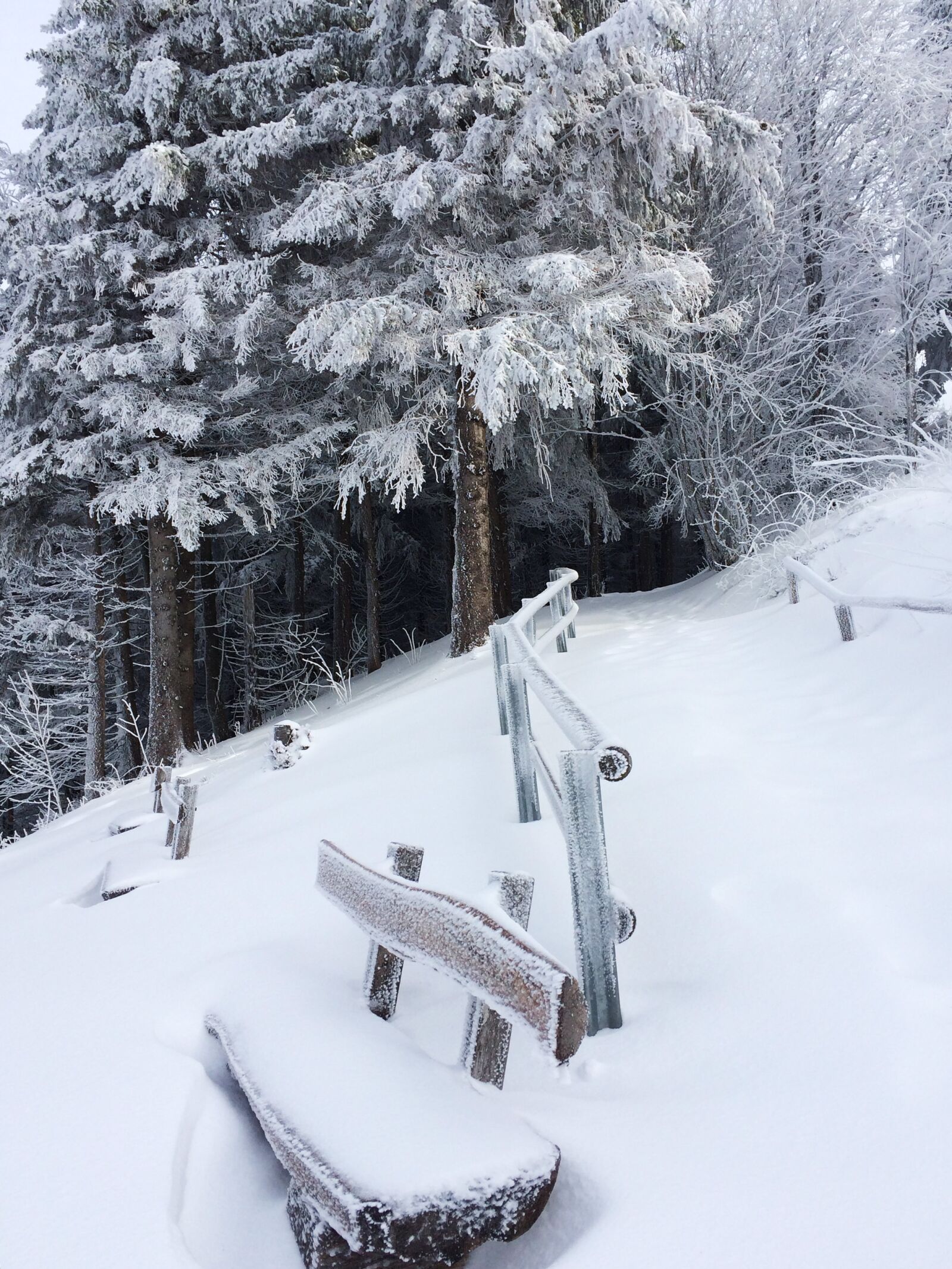 iPhone 5s back camera 4.15mm f/2.2 sample photo. Freiburg, schauinsland, snow photography