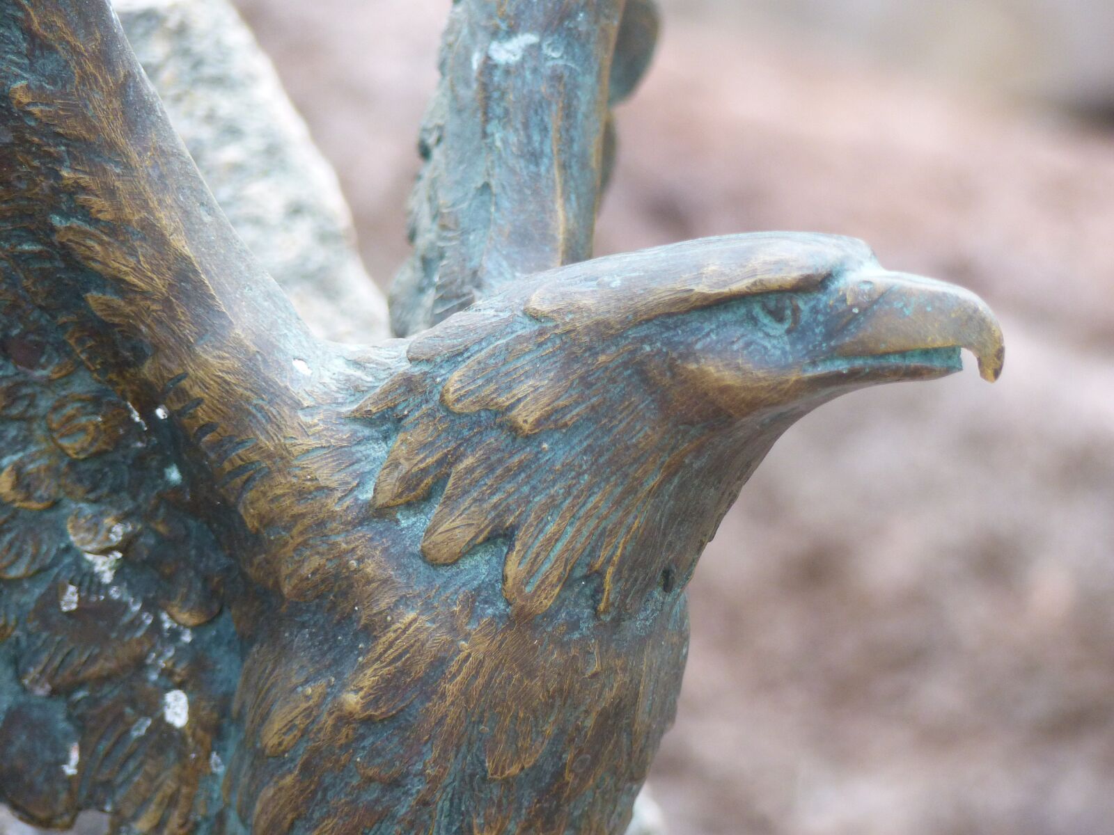 Panasonic Lumix DMC-FZ200 sample photo. Fly, eagle, skulpture photography