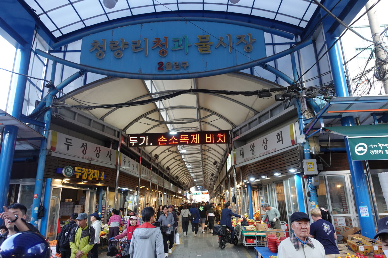 Sony ZV-1 sample photo