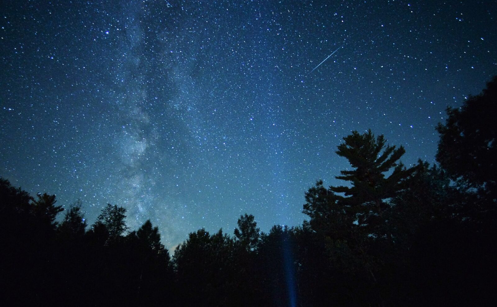 Nikon D610 sample photo. Milky, way, treetops photography