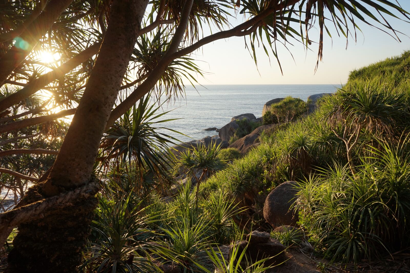 Sony Alpha a5000 (ILCE 5000) sample photo. Vacation, sunset, nature photography